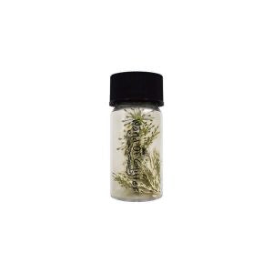 White Dried Nail Flowers